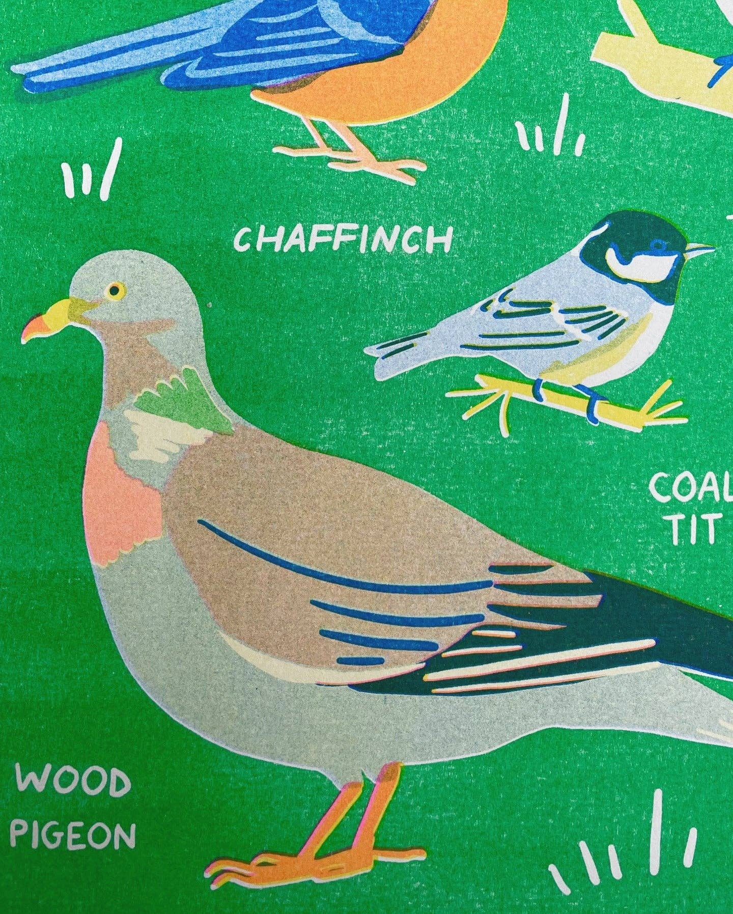 Garden Bird risograph print close-up detail - PABOOM