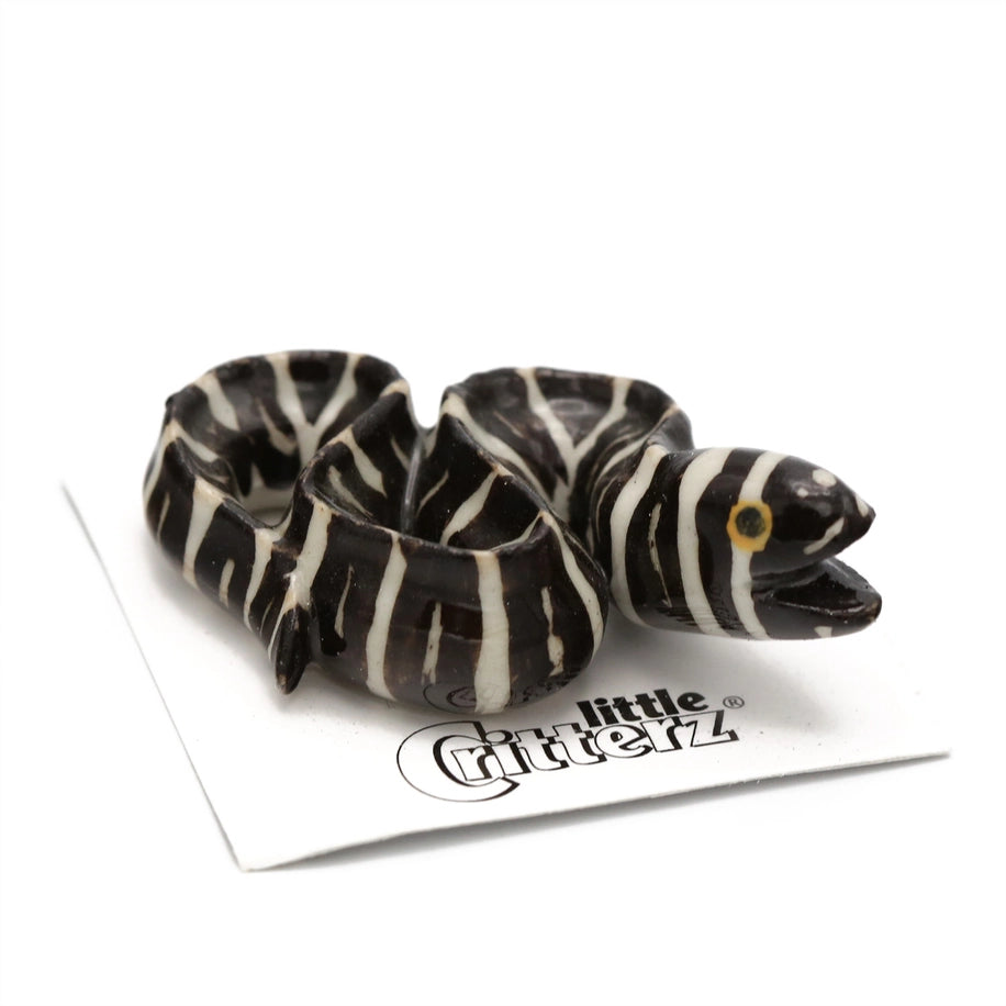 Retreat Zebra Moray Eel Porcelain Miniature