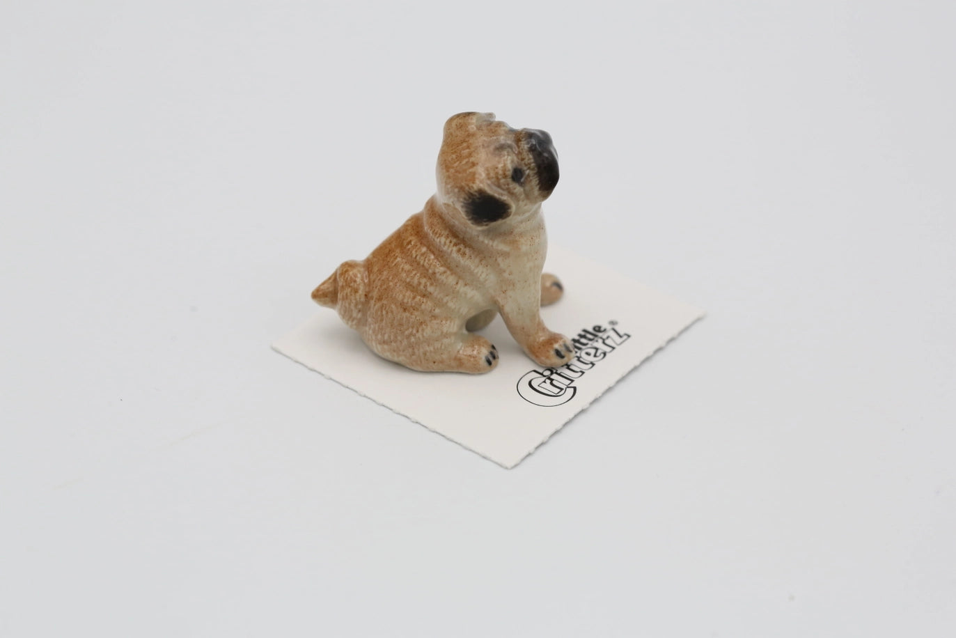 Button Pug Porcelaine Miniature