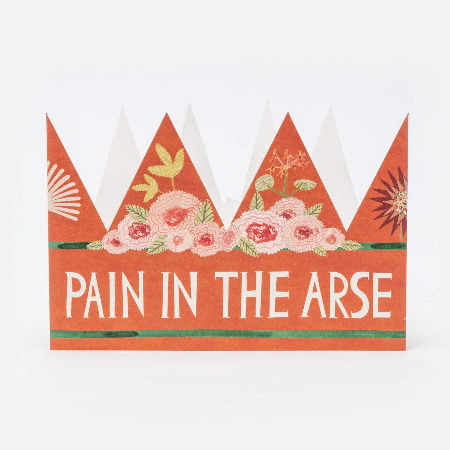 Pain in the Arse Party Hat worn