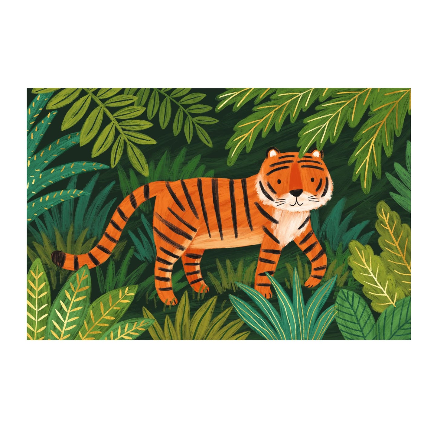 Letter Box Invitations Jungle Animals