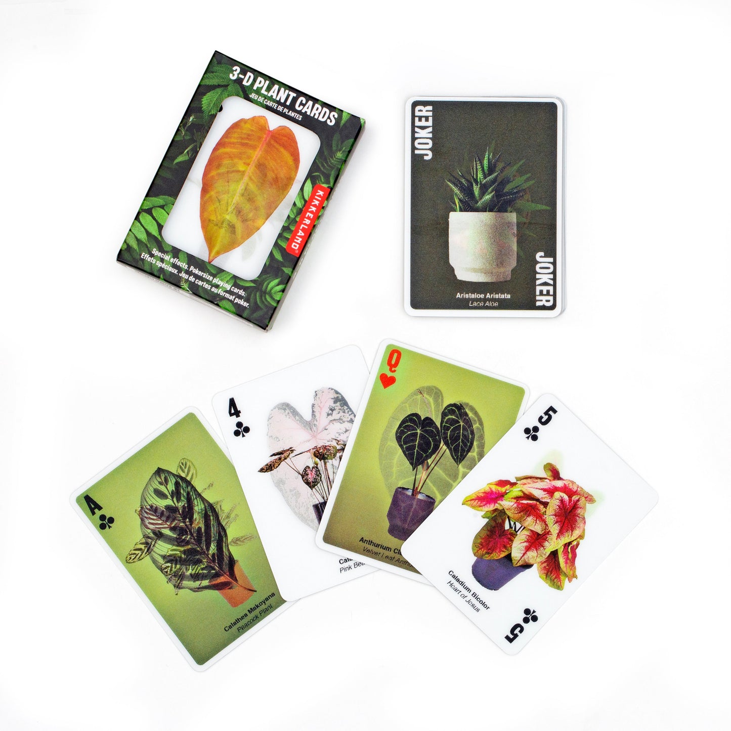 3D Plant Playing Cards