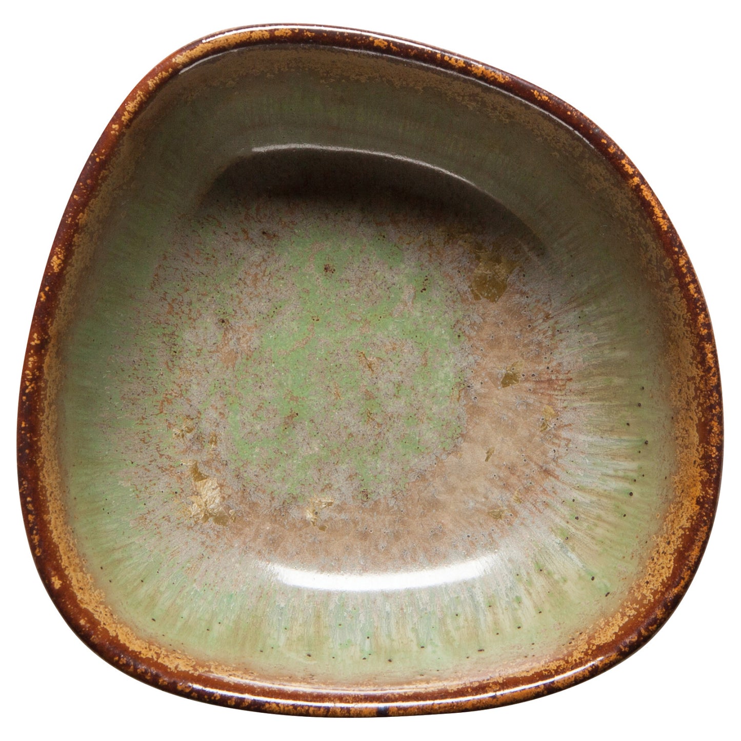 Opus Dish Lichen