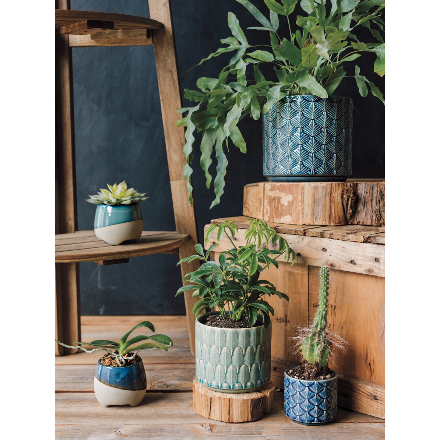 Planter Plume Azure Small