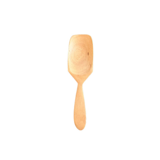 Chiku Spoon Sapodilla