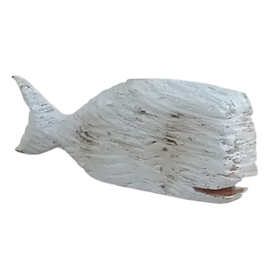 Wooden Whale Whitewash