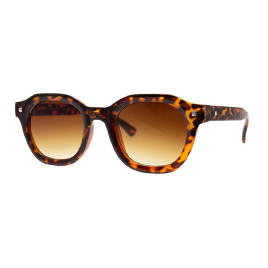 High I.Q. Sunglasses Tortoise