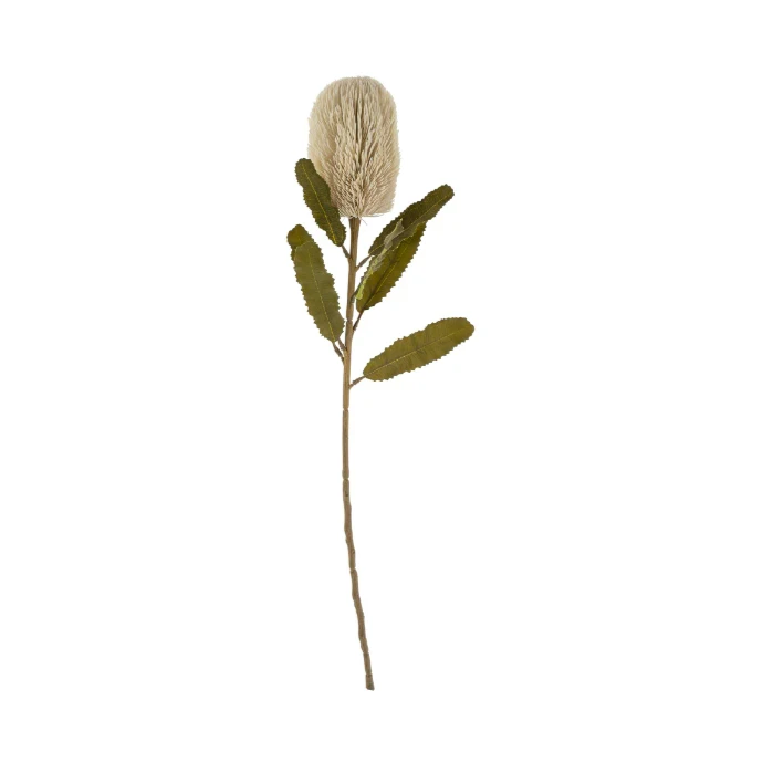 Faux cream banksia flower with olive green leaves on a long stem - PABOOM