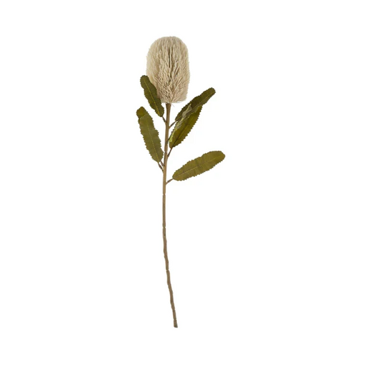 Faux cream banksia flower with olive green leaves on a long stem - PABOOM