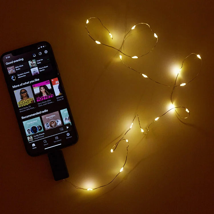 Close-up of sound-activated LED string light wire and bulbs.