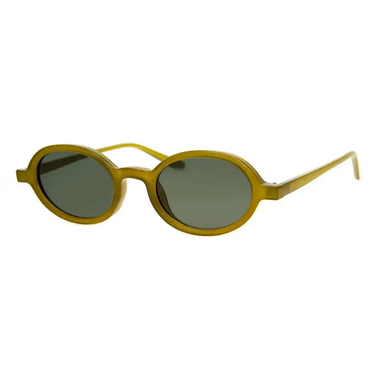 Classroom Sunglasses - Tortoise