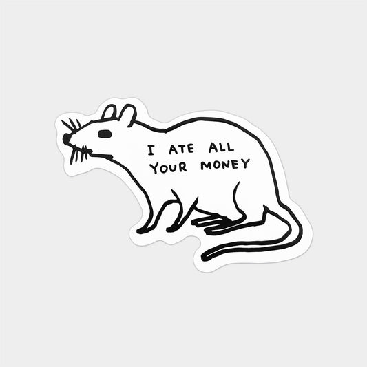 Stupid Desicions Sticker Sheet