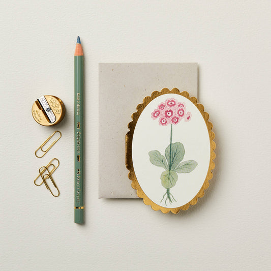 Auricula mini card styled with gift wrap and ribbon