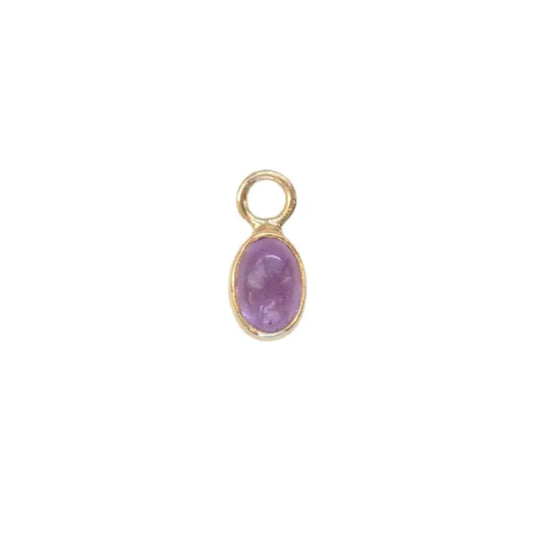 Amethyst Gold Charm