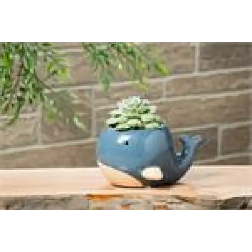 Blue Whale Planter Large - PABOOM
