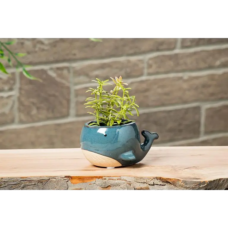 Abbott - Blue Whale Planter Small