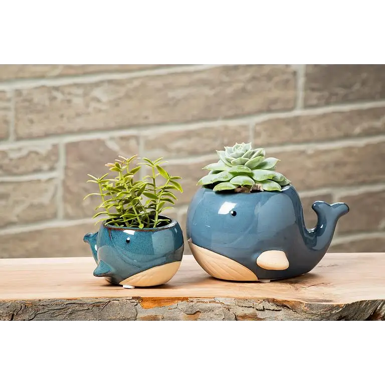 Abbott - Blue Whale Planter Small