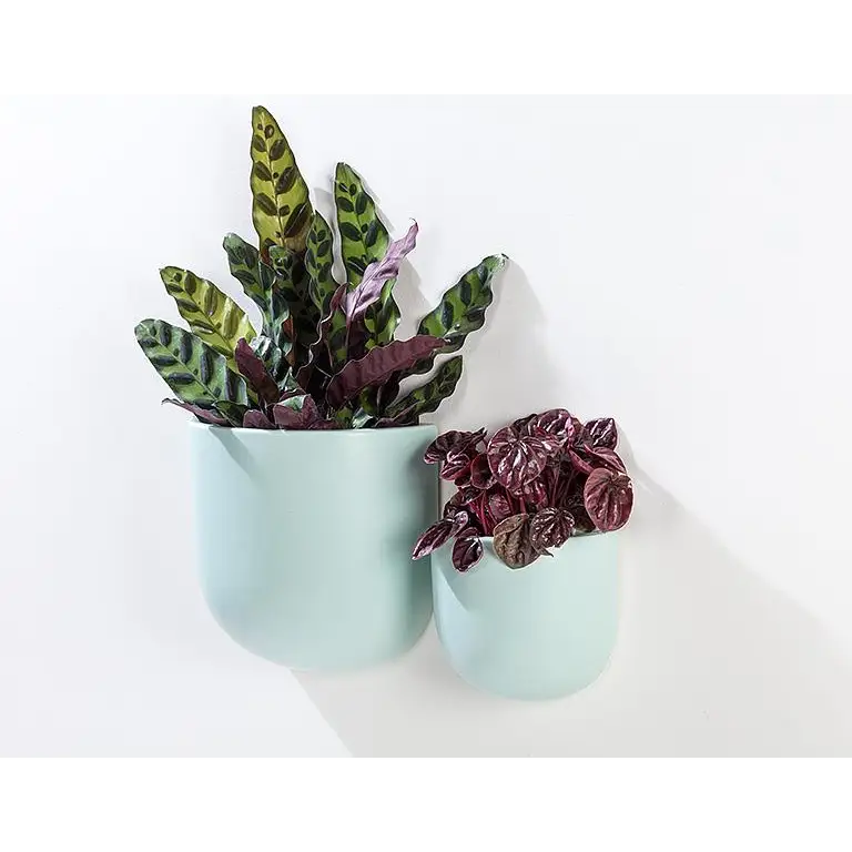 Abbott - Sm Wall Planter Mint 4.5’’H