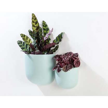 Abbott - Sm Wall Planter Mint 4.5’’H