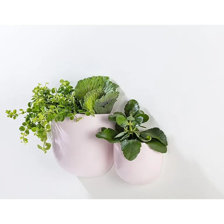 Abbott - Sm. Wall Planter Pink 4.5”