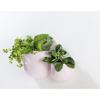 Abbott - Sm. Wall Planter Pink 4.5”