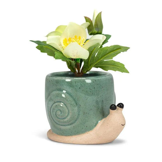 Abbott - Snail Planter Turquoise