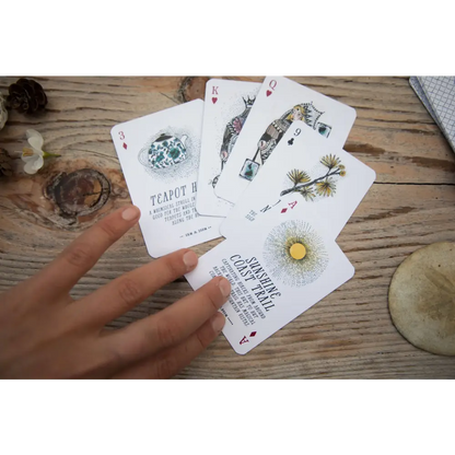 A Deck of Wander: Spectacular hikes around Southern BC - PABOOM