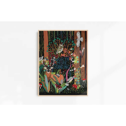 Old Growth Forest Art Print - PABOOM