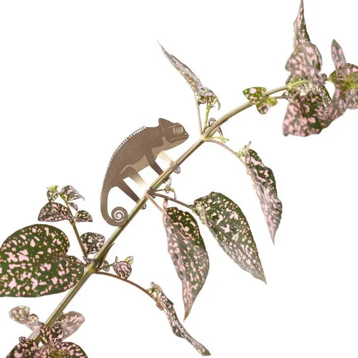 Plant Animal Chameleon - PABOOM