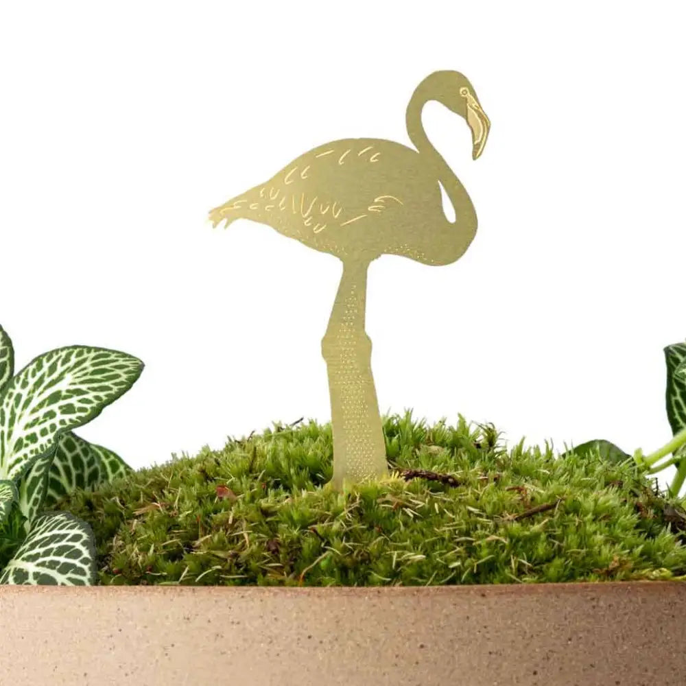 Plant Animal Flamingo - PABOOM