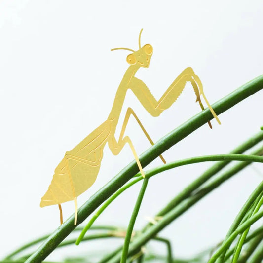 Plant Animal Praying Mantis - PABOOM