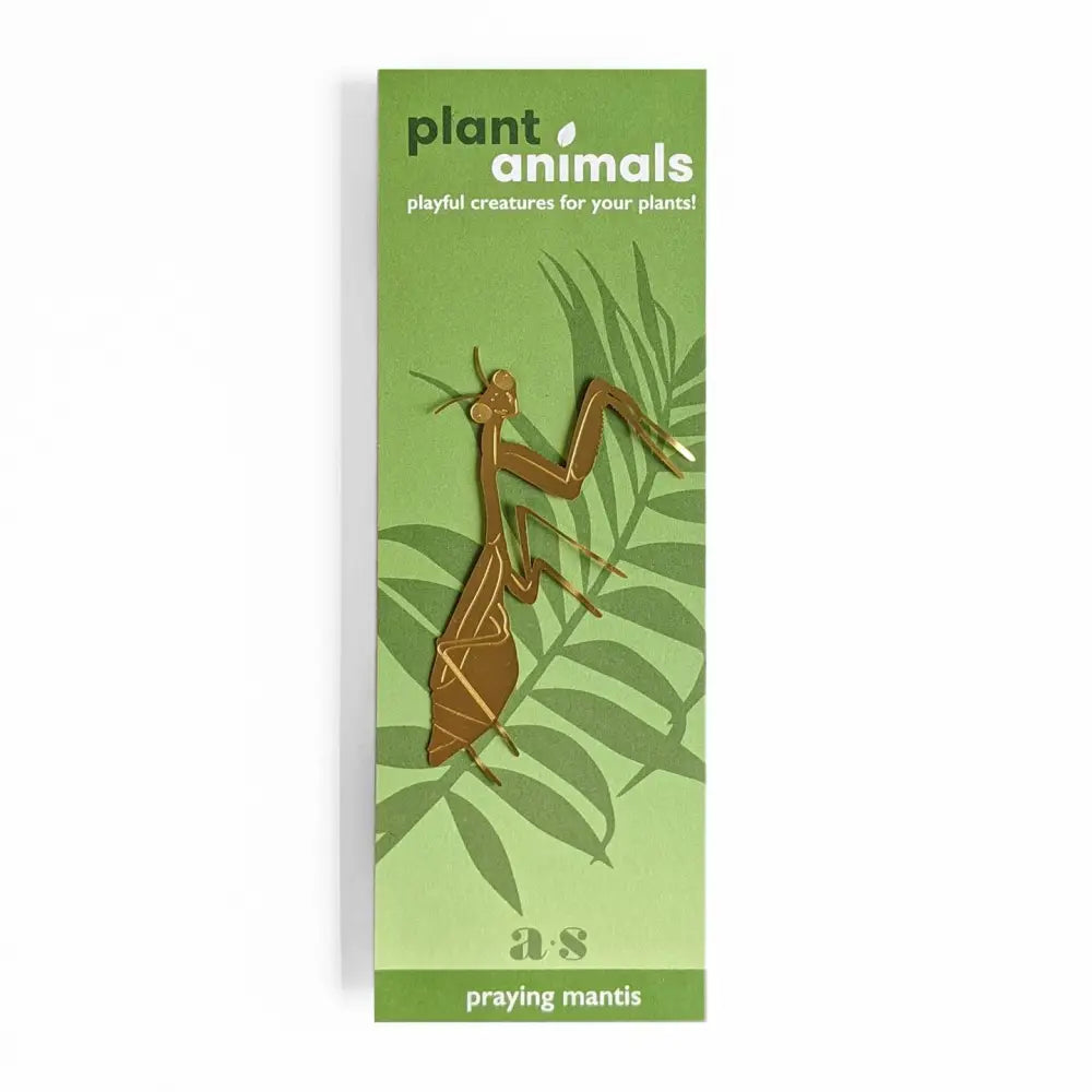 Plant Animal Praying Mantis - PABOOM