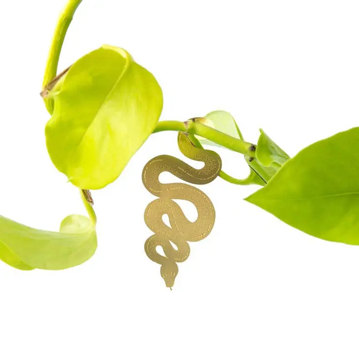 Plant Animal Snake - PABOOM