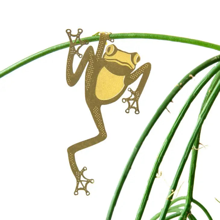 Plant Animal Tree Frog - PABOOM