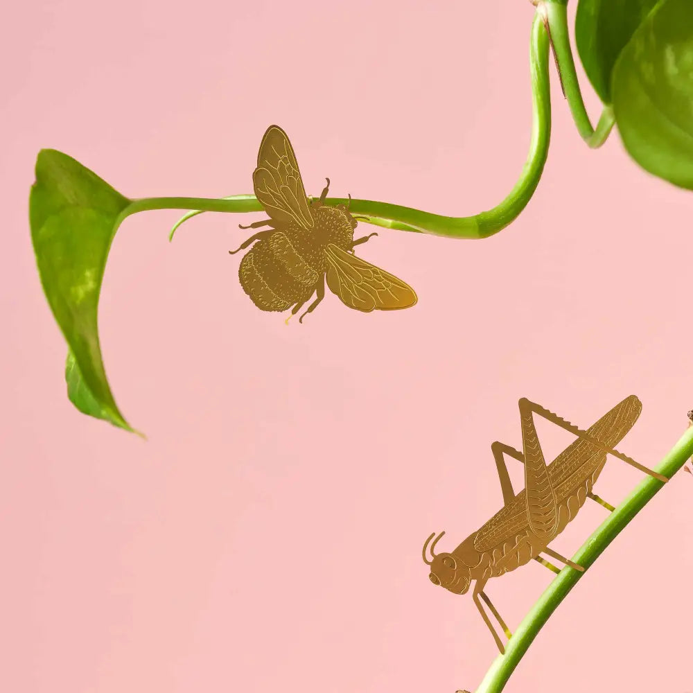 Another Studio U.S - Plant Animal - Grasshopper Insect Ornament