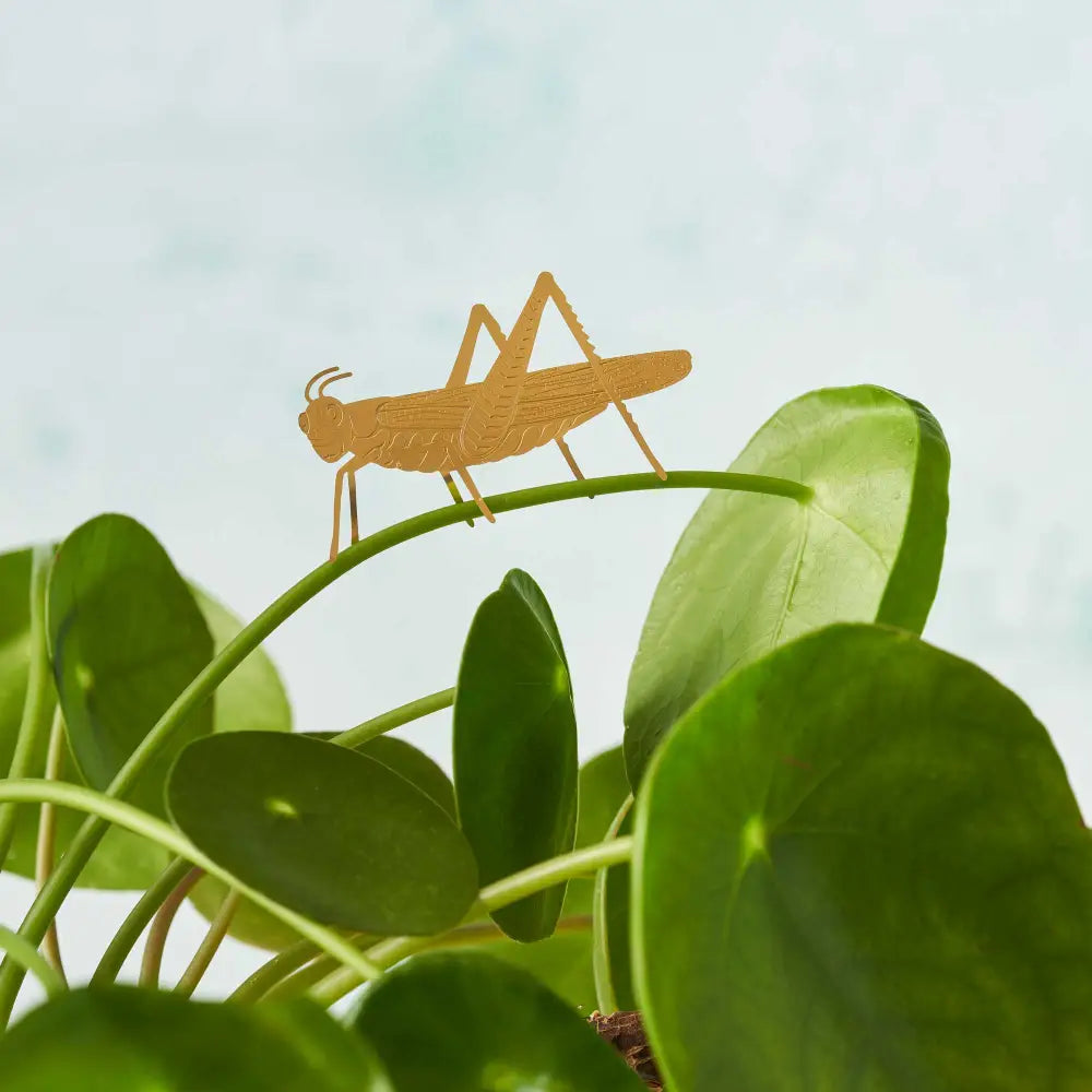Another Studio U.S - Plant Animal - Grasshopper Insect Ornament