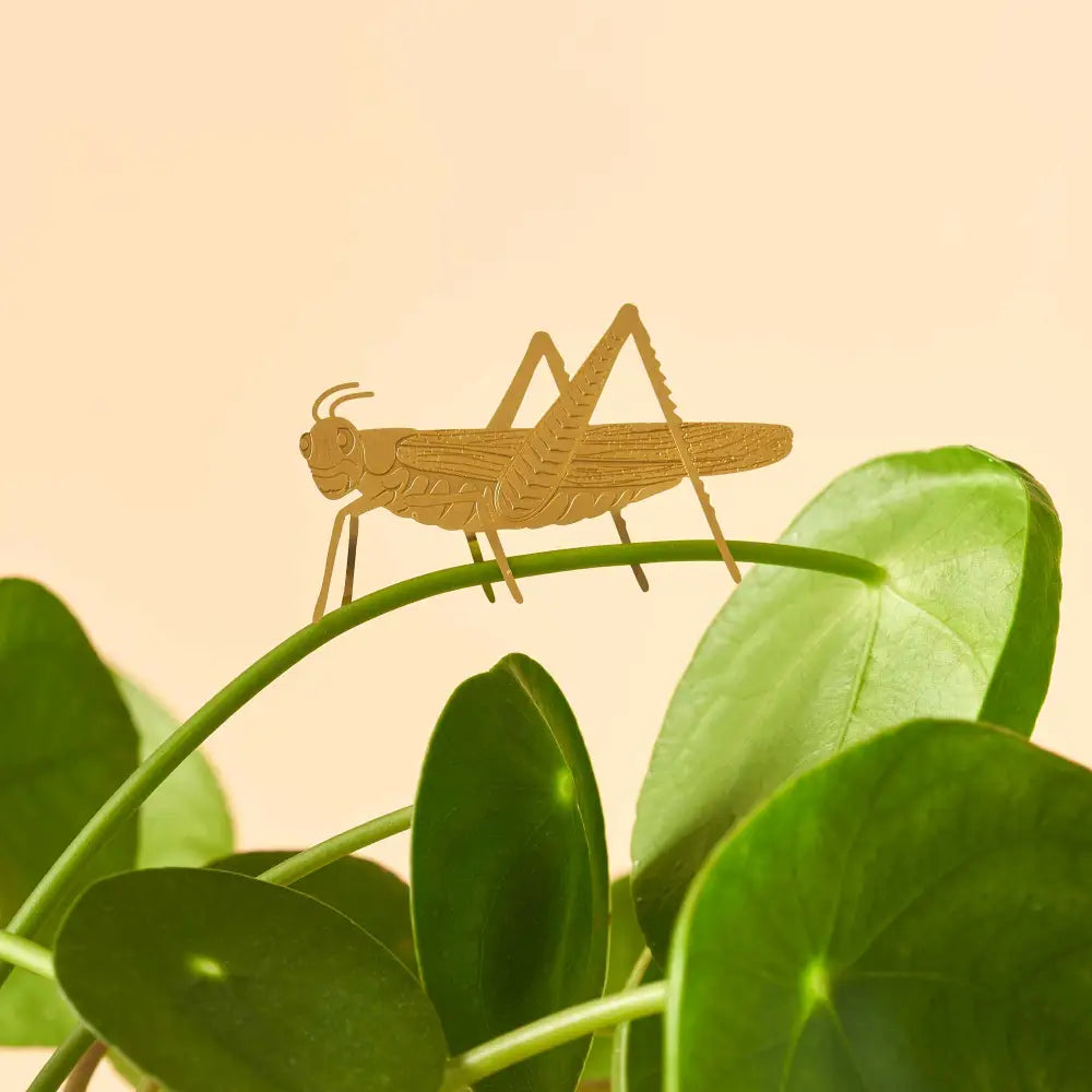 Another Studio U.S - Plant Animal - Grasshopper Insect Ornament