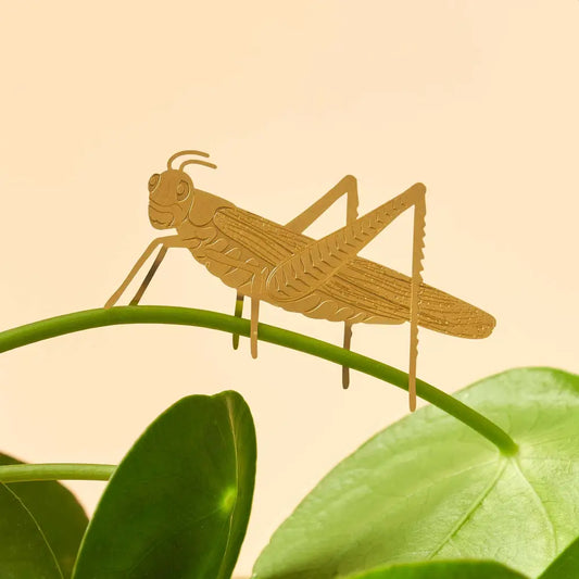 Another Studio U.S - Plant Animal - Grasshopper Insect Ornament