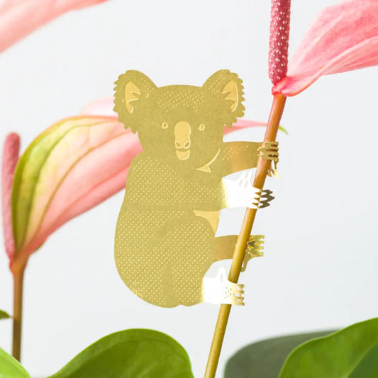 Another Studio U.S - Plant Animal - Koala Bear Hugger Decoration