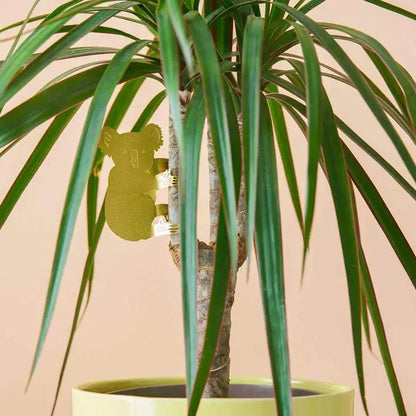Another Studio U.S - Plant Animal - Koala Bear Hugger Decoration
