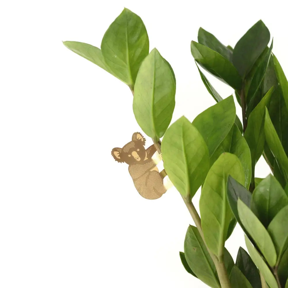 Another Studio U.S - Plant Animal - Koala Bear Hugger Decoration