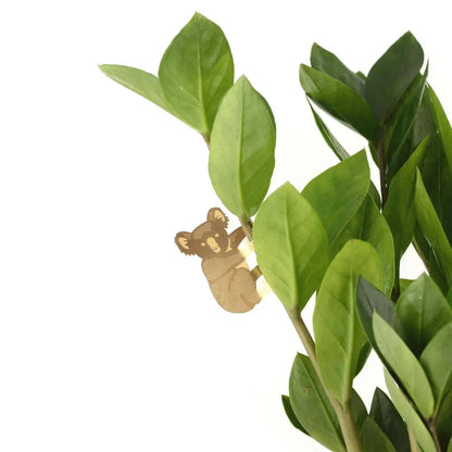 Another Studio U.S - Plant Animal - Koala Bear Hugger Decoration