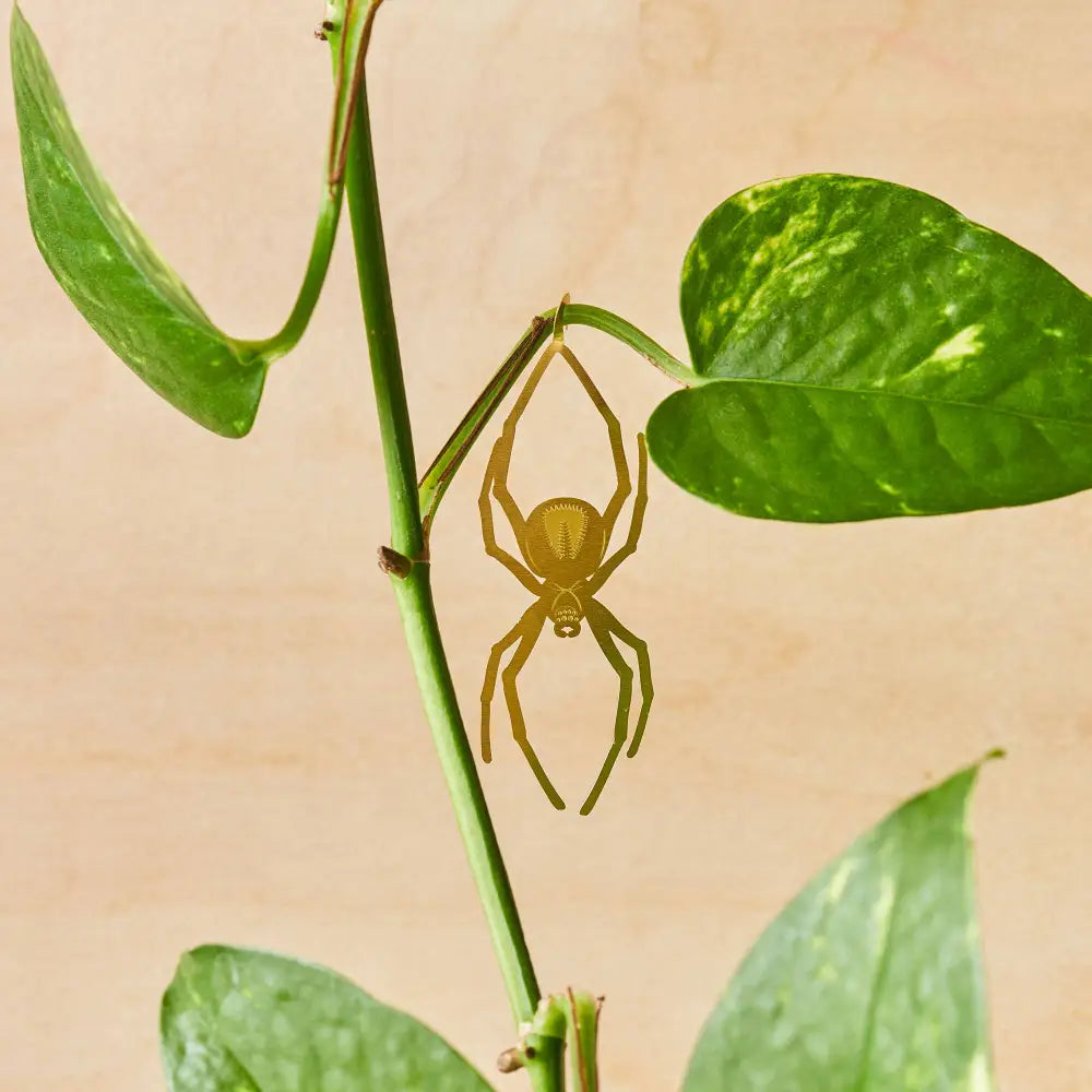 Another Studio U.S - Plant Animal - Spider Insect Charm