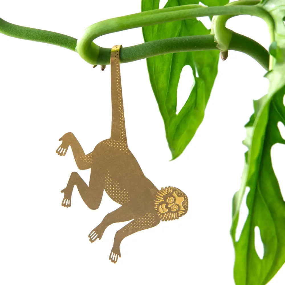 Another Studio U.S - Plant Animal - Spider Monkey houseplant decoration