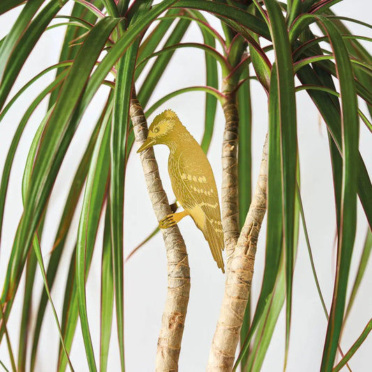 Another Studio U.S - Plant Animal - Woodpecker Houseplant Clip