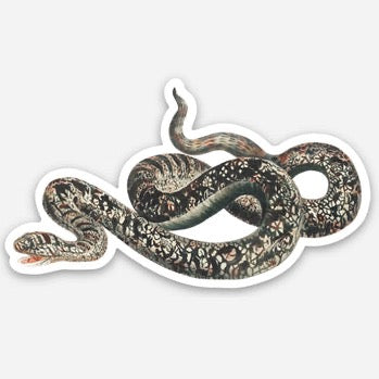 Appalled Snake Gap Filler Vinyl Sticker