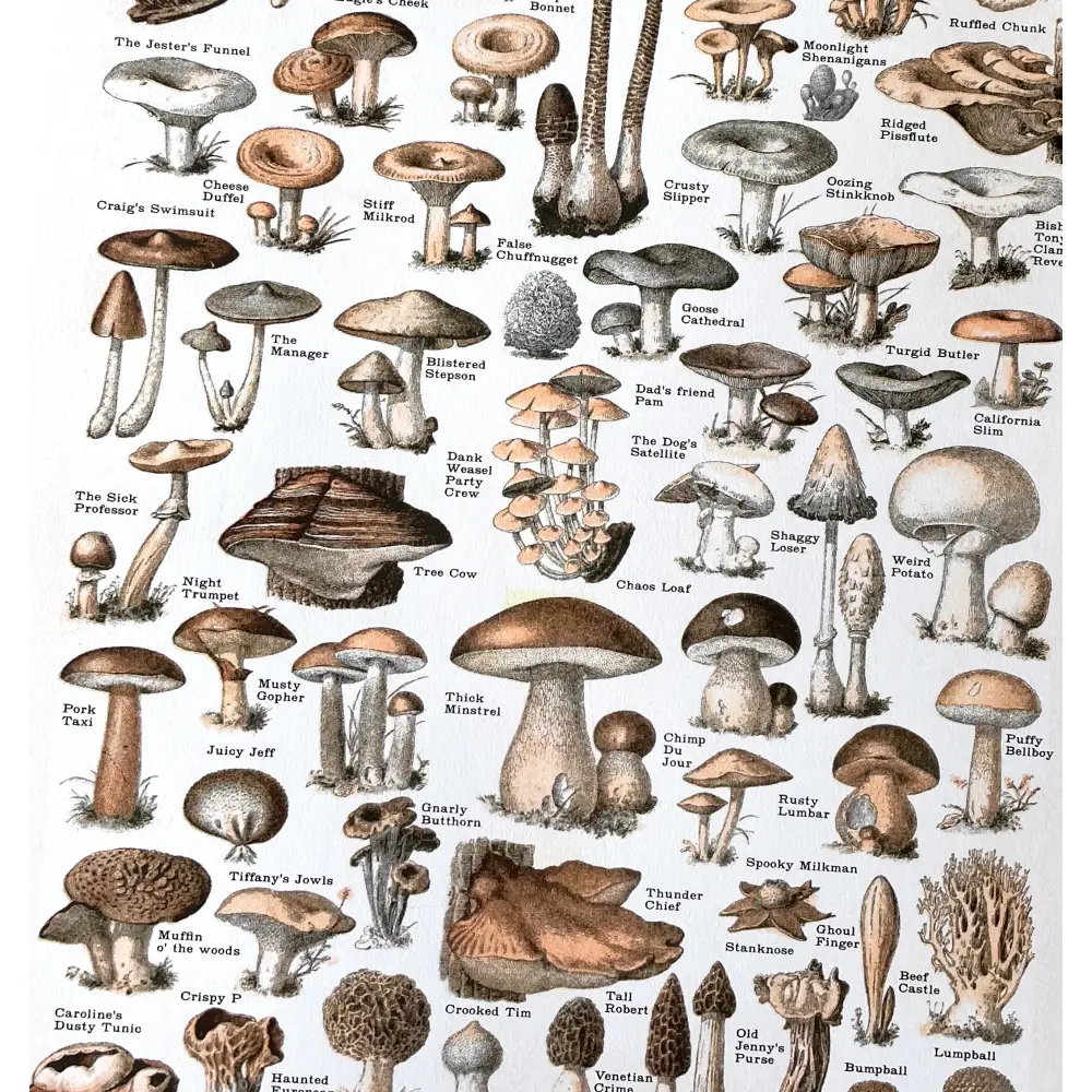 Arcane Bullshit - Common Mushrooms Risograph Poster