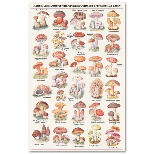 Arcane Bullshit - Rare Mushrooms Risograph Poster