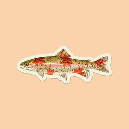 Artbaby & Co. - Rainbow Trout Starry Fish Sticker