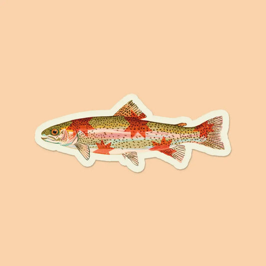 Artbaby & Co. - Rainbow Trout Starry Fish Sticker